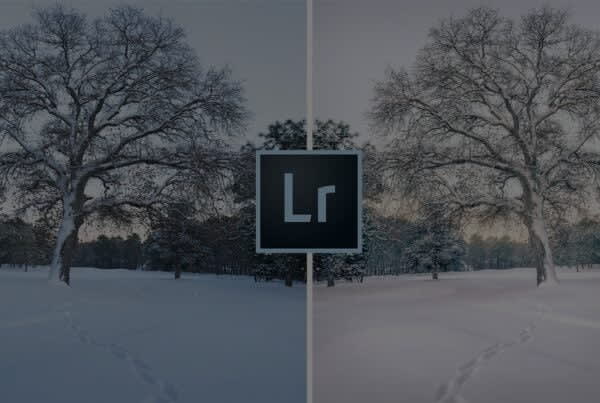 7 Adobe Lightroom Tips and Tricks To Transform Your Winter Photos 2022